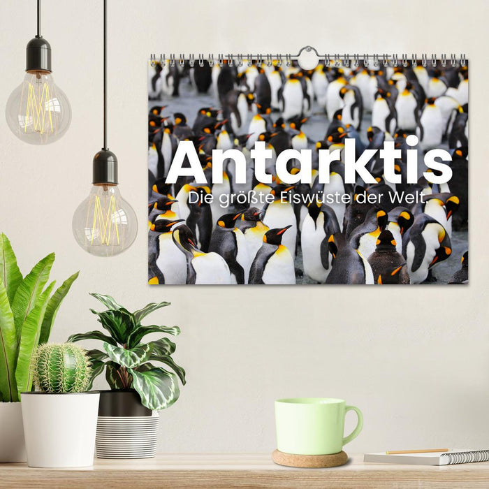 Antarktis - Die größte Eiswüste der Welt. (CALVENDO Wandkalender 2025)