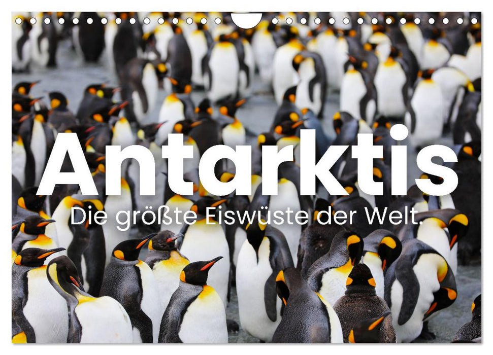 Antarktis - Die größte Eiswüste der Welt. (CALVENDO Wandkalender 2025)