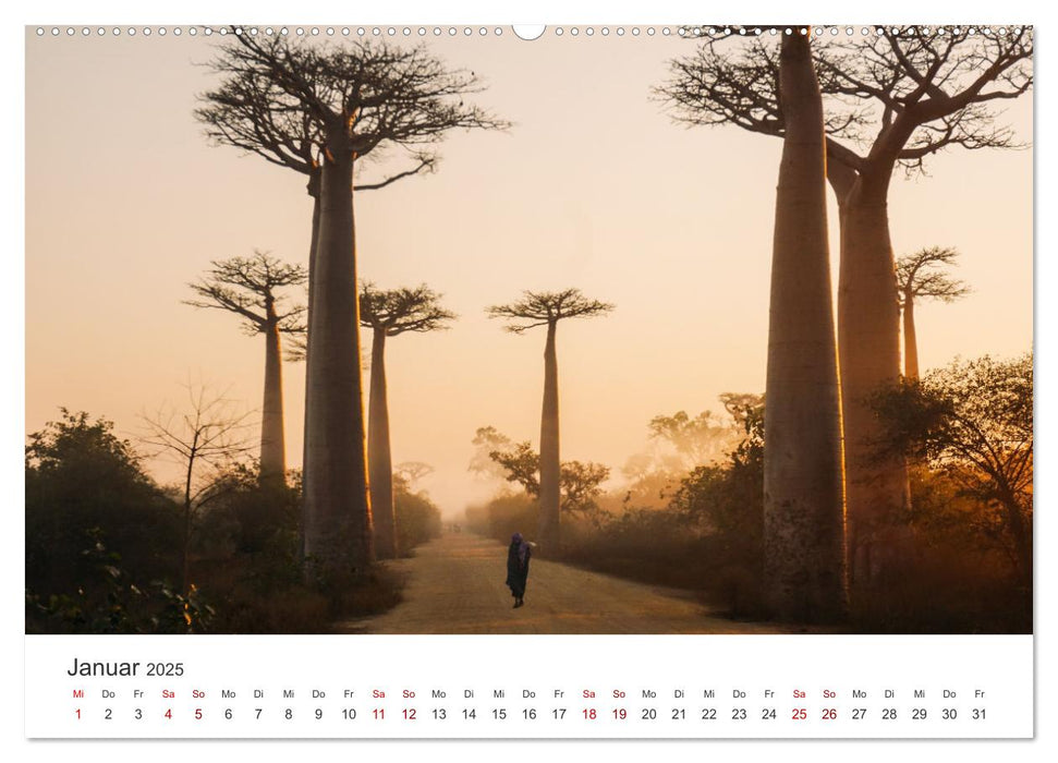 Madagaskar - Eine traumhafte Insel. (CALVENDO Wandkalender 2025)