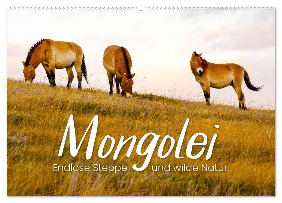 Mongolei - Endlose Steppe und wilde Natur. (CALVENDO Wandkalender 2025)