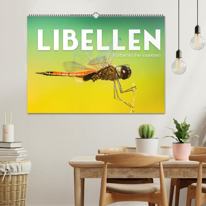 Libellen - Farbenfrohe Insekten (CALVENDO Wandkalender 2025)