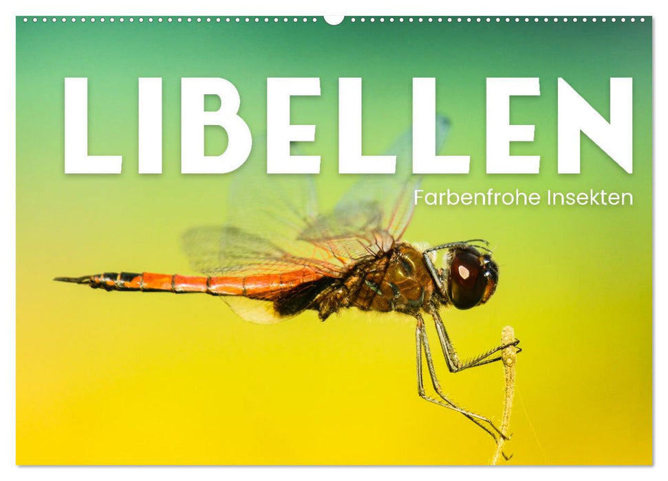 Libellen - Farbenfrohe Insekten (CALVENDO Wandkalender 2025)