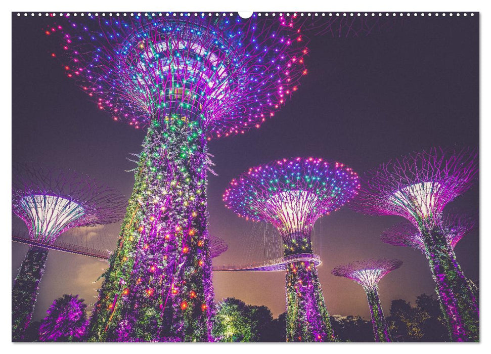 Singapur - Moderne Städte und unberührte Natur. (CALVENDO Wandkalender 2025)