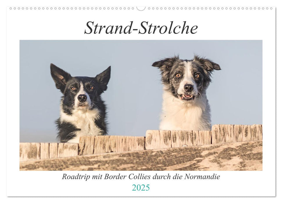 Strand-Strolche (CALVENDO Wandkalender 2025)