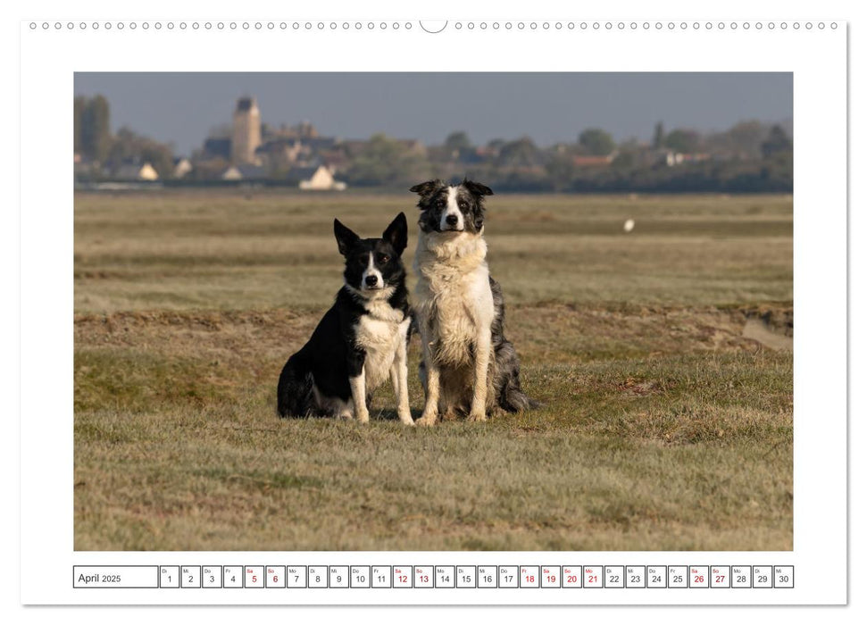 Strand-Strolche (CALVENDO Wandkalender 2025)