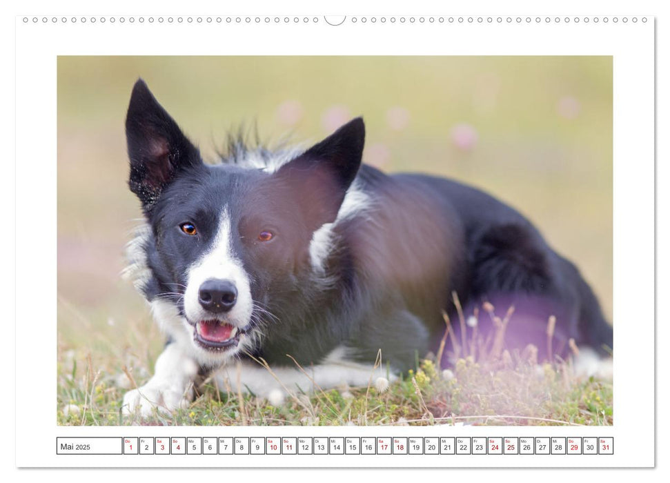 Strand-Strolche (CALVENDO Wandkalender 2025)