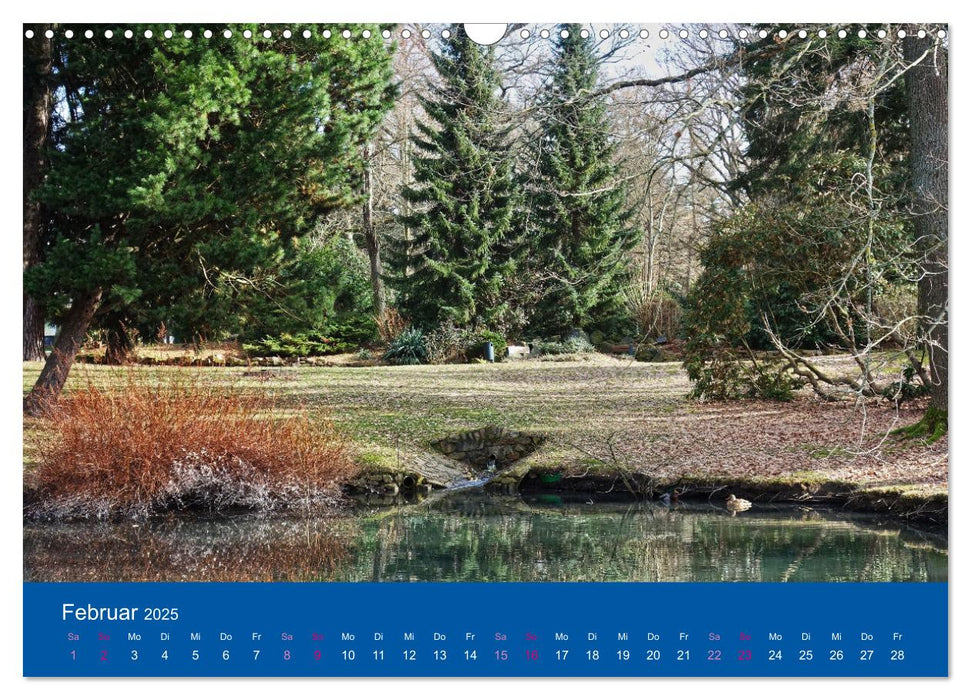 Limbach-Oberfrohna - der schöne Stadtpark im Wandel der Jahreszeiten (CALVENDO Wandkalender 2025)