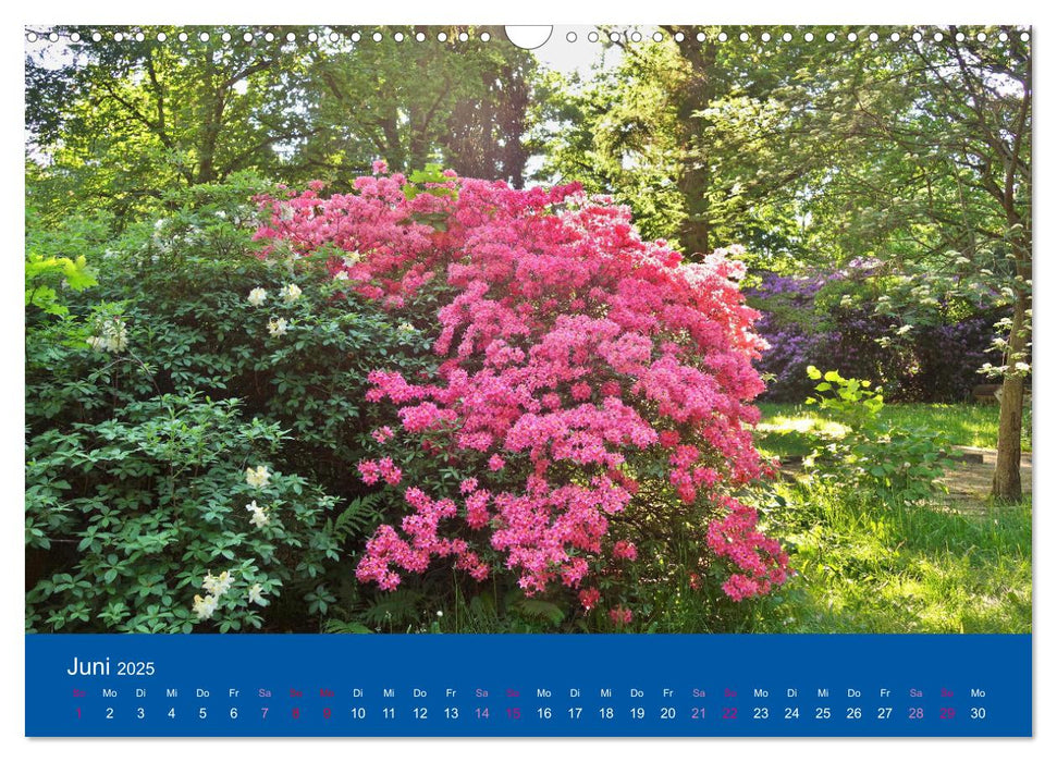 Limbach-Oberfrohna - der schöne Stadtpark im Wandel der Jahreszeiten (CALVENDO Wandkalender 2025)