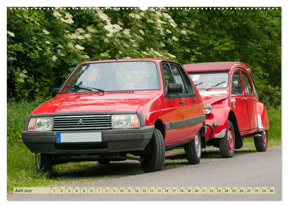 Französische Klassiker - 2CV und D Modell Oldtimer (CALVENDO Wandkalender 2025)