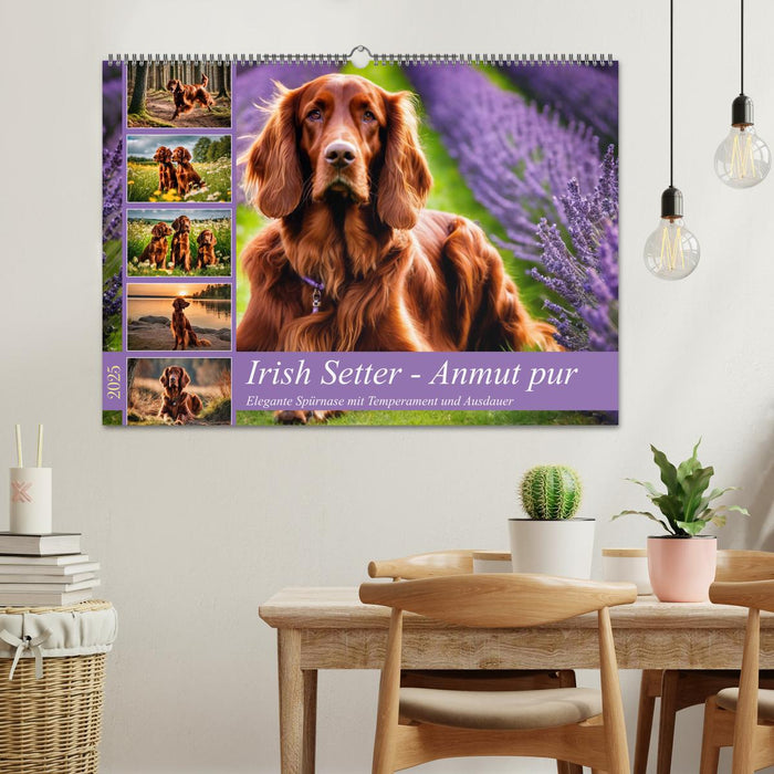 Irish Setter - Anmut pur (CALVENDO Wandkalender 2025)