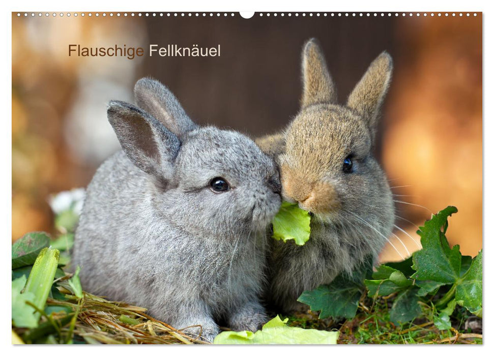 Flauschige Fellknäuel (CALVENDO Wandkalender 2025)