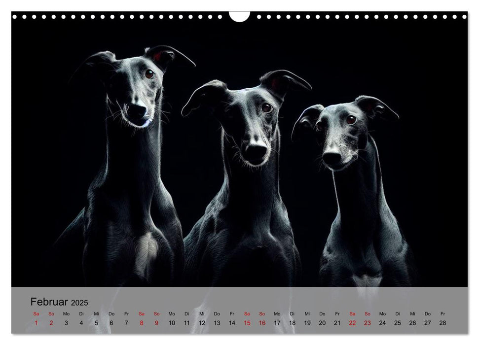 Black is beautiful (CALVENDO Wandkalender 2025)