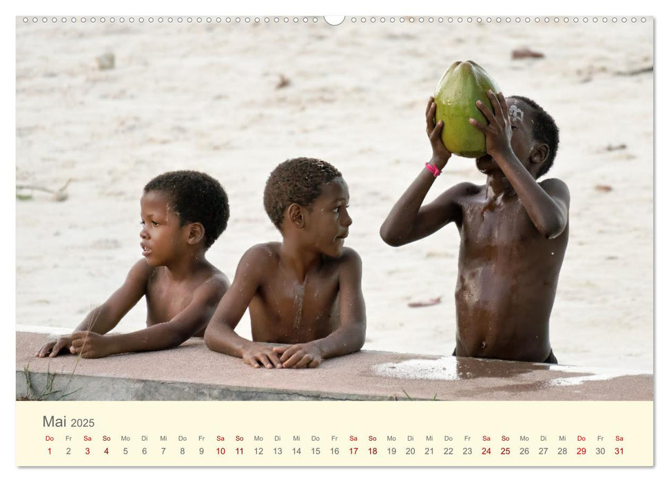 Traumhafte Seychellen (CALVENDO Wandkalender 2025)