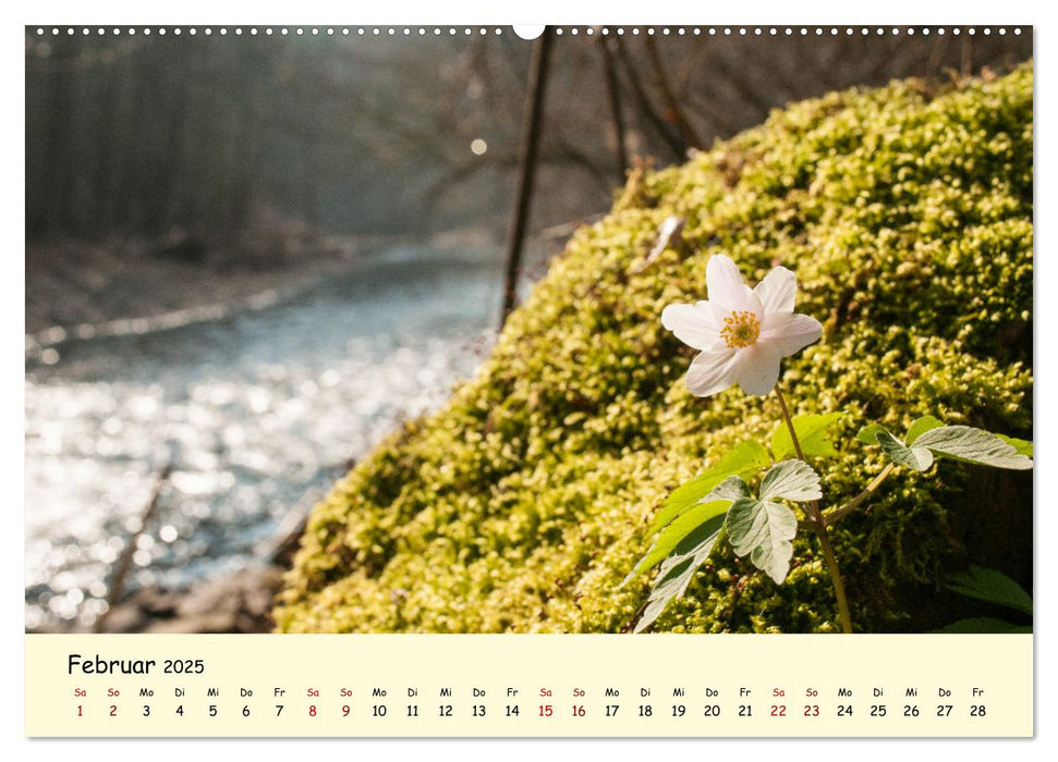 Müngstener Brücke - Landschaft rund um Solingen (CALVENDO Wandkalender 2025)