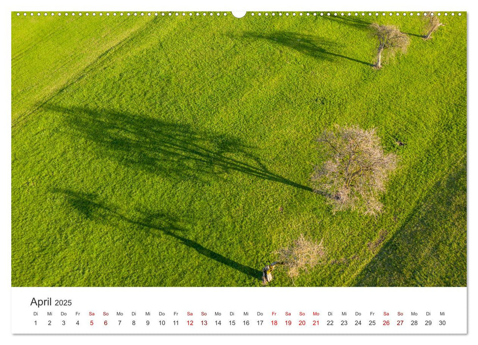 Bäume - Gelebtes Leben (CALVENDO Wandkalender 2025)