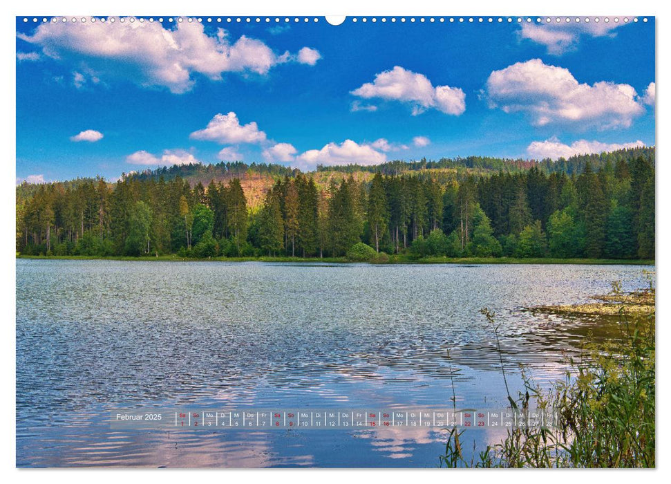 Thüringer Traumlandschaften (CALVENDO Premium Wandkalender 2025)