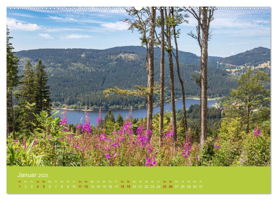 Hochschwarzwald - Traumhafte Landschaften im Schwarzwald (CALVENDO Wandkalender 2025)