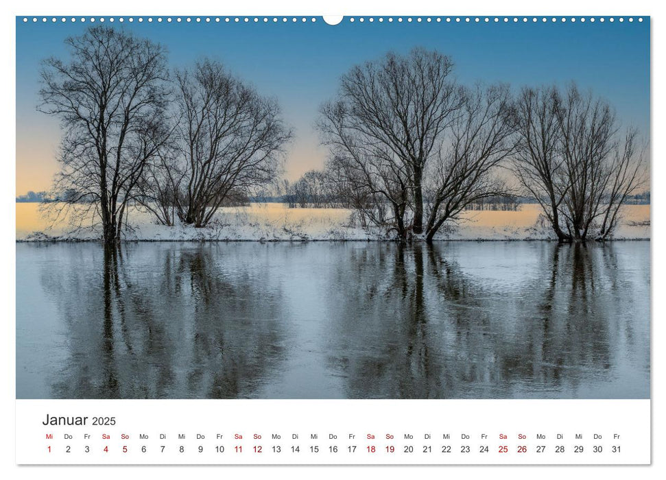 Bäume - Gelebtes Leben (CALVENDO Premium Wandkalender 2025)