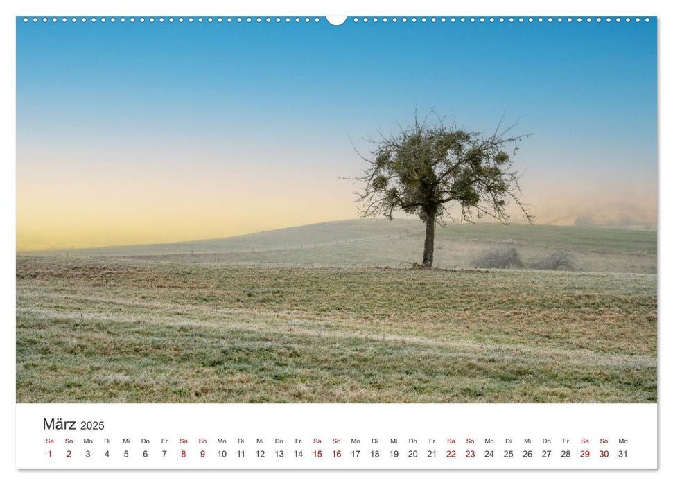 Bäume - Gelebtes Leben (CALVENDO Premium Wandkalender 2025)