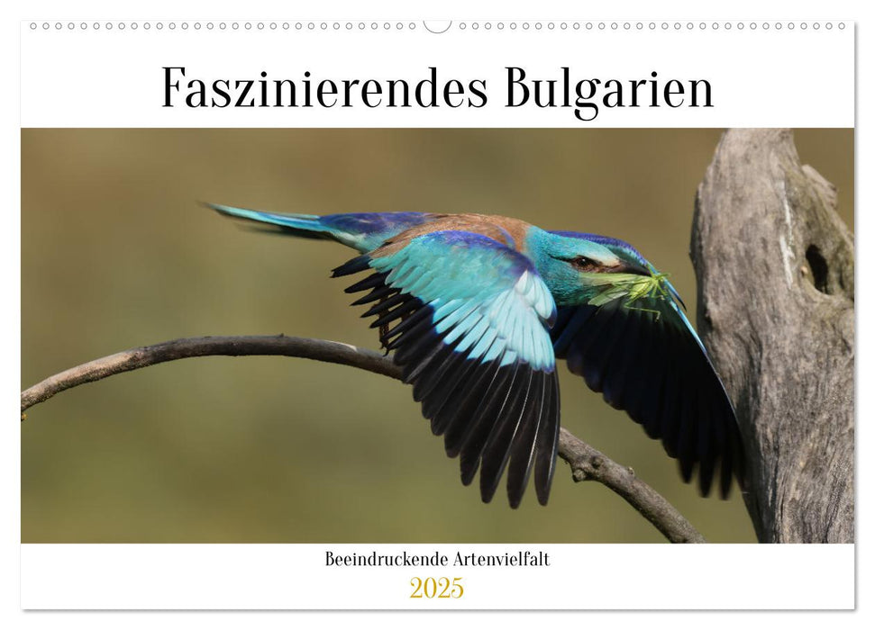 Faszinierendes Bulgarien (CALVENDO Wandkalender 2025)