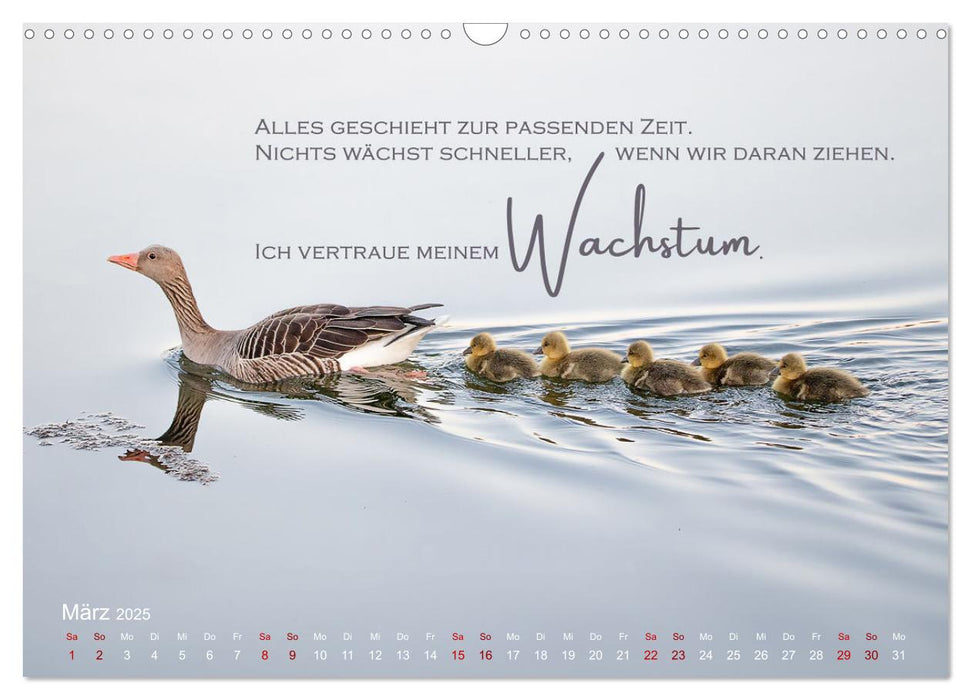 Vertraue! (CALVENDO Wandkalender 2025)