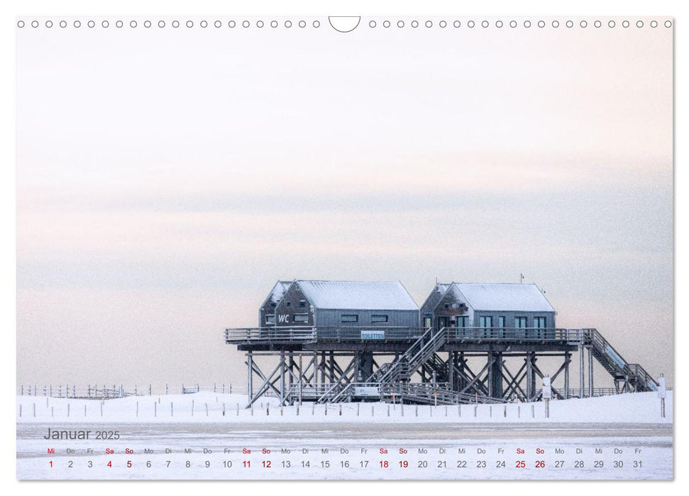 Westküste zwischen Westerhever und Speicherkoog (CALVENDO Wandkalender 2025)