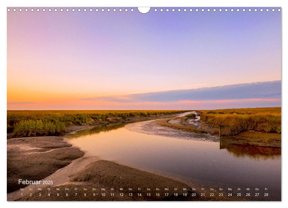 Westküste zwischen Westerhever und Speicherkoog (CALVENDO Wandkalender 2025)