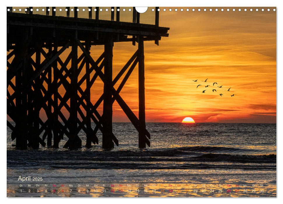 Westküste zwischen Westerhever und Speicherkoog (CALVENDO Wandkalender 2025)