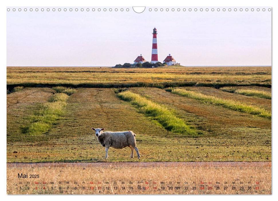 Westküste zwischen Westerhever und Speicherkoog (CALVENDO Wandkalender 2025)