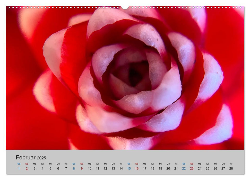 Max Macro (CALVENDO Premium Wandkalender 2025)