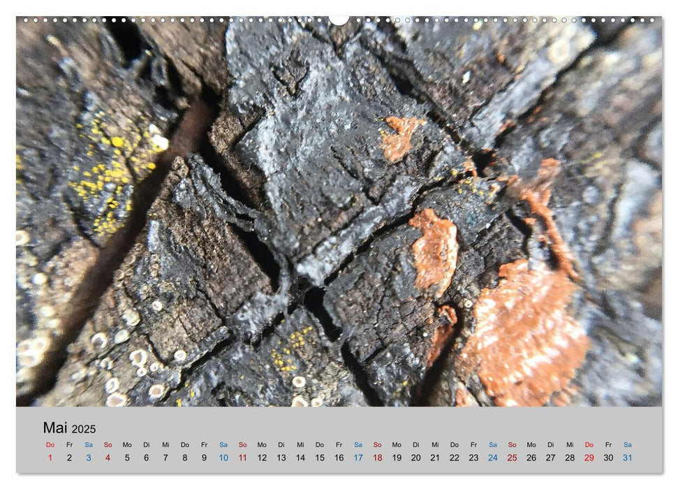 Max Macro (CALVENDO Premium Wandkalender 2025)