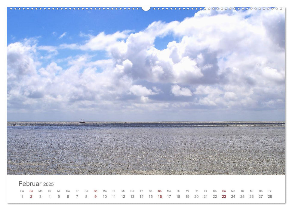 Mein Büsum - Das wunderschöne Nordseeheilbad in Schleswig-Holstein (CALVENDO Wandkalender 2025)