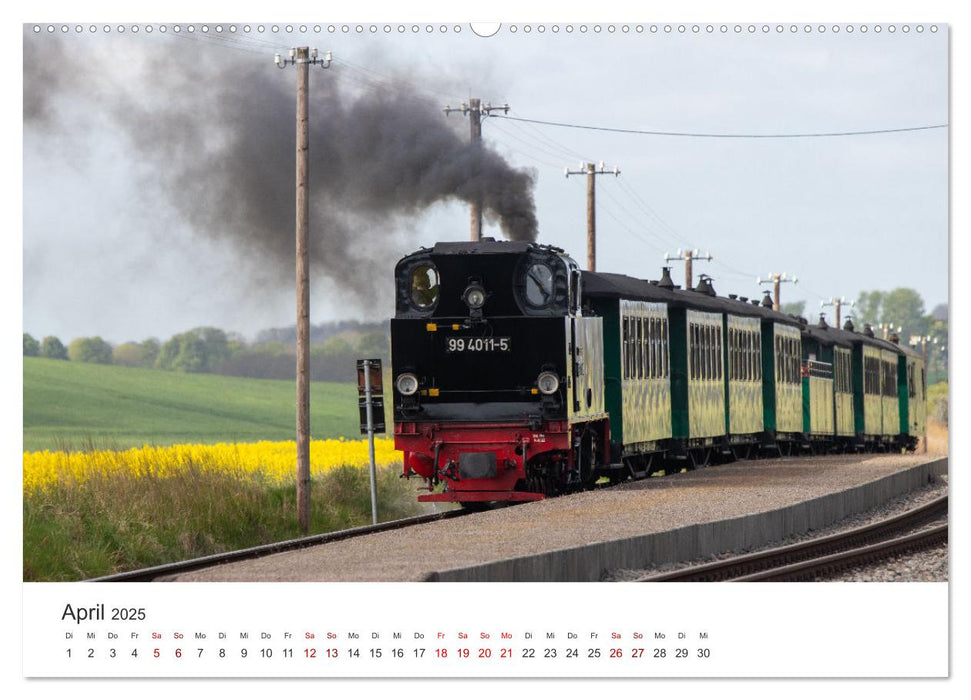 Ein ganzes Jahr unter Volldampf! (CALVENDO Premium Wandkalender 2025)