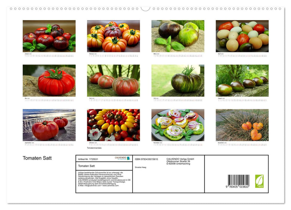 Tomaten Satt (CALVENDO Premium Wandkalender 2025)