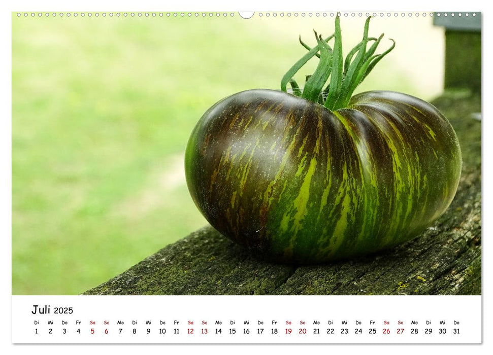 Tomaten Satt (CALVENDO Premium Wandkalender 2025)