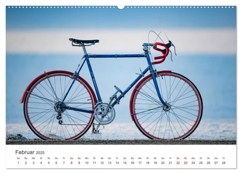 Stahlrenner - Rennrad-Klassiker aus Europa (CALVENDO Premium Wandkalender 2025)