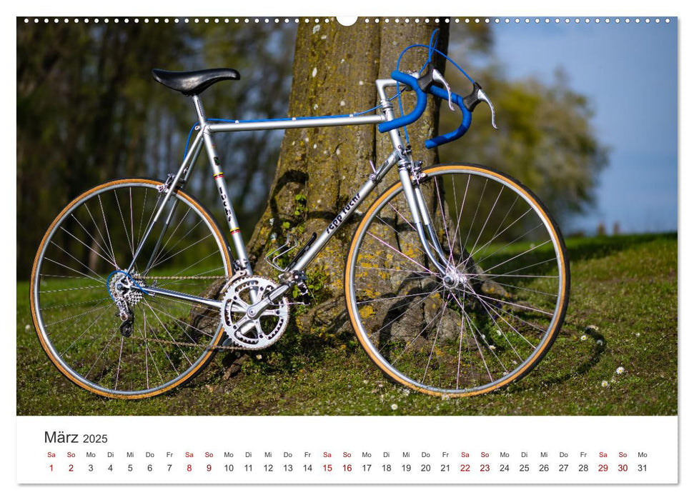 Stahlrenner - Rennrad-Klassiker aus Europa (CALVENDO Premium Wandkalender 2025)