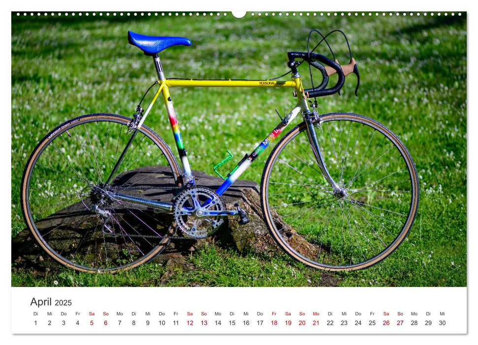 Stahlrenner - Rennrad-Klassiker aus Europa (CALVENDO Premium Wandkalender 2025)