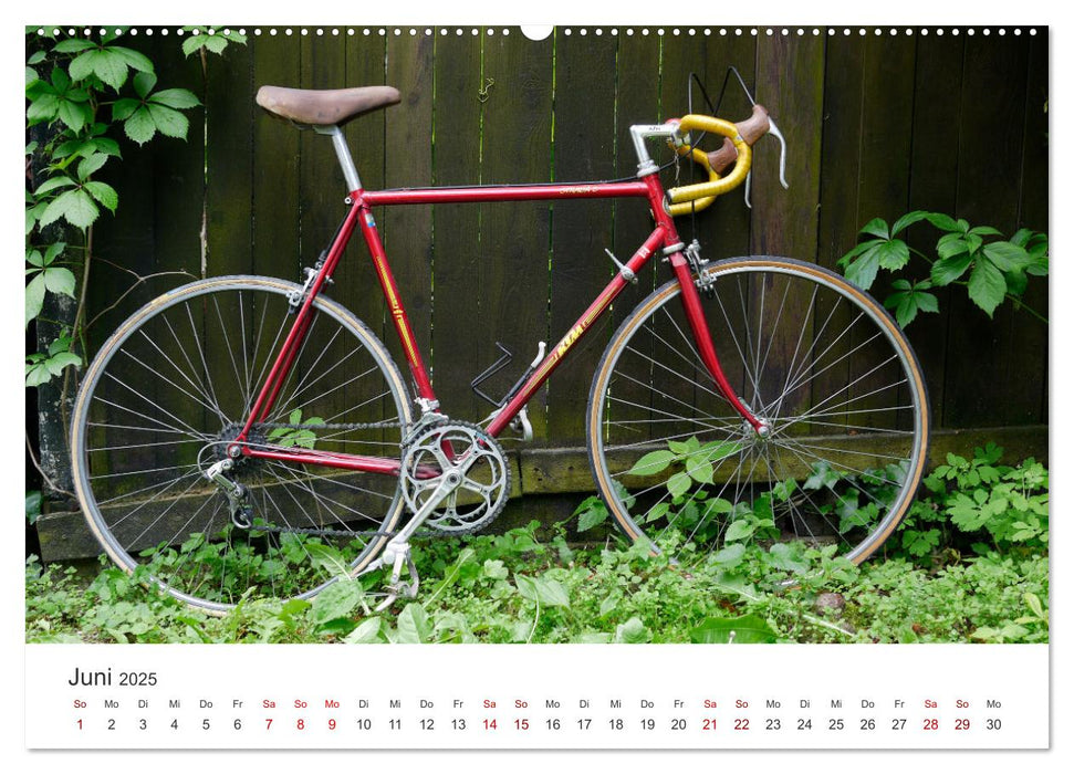 Stahlrenner - Rennrad-Klassiker aus Europa (CALVENDO Premium Wandkalender 2025)