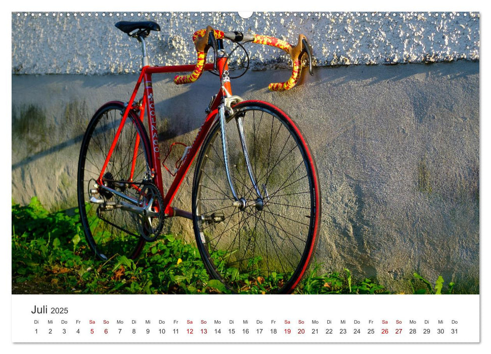 Stahlrenner - Rennrad-Klassiker aus Europa (CALVENDO Premium Wandkalender 2025)