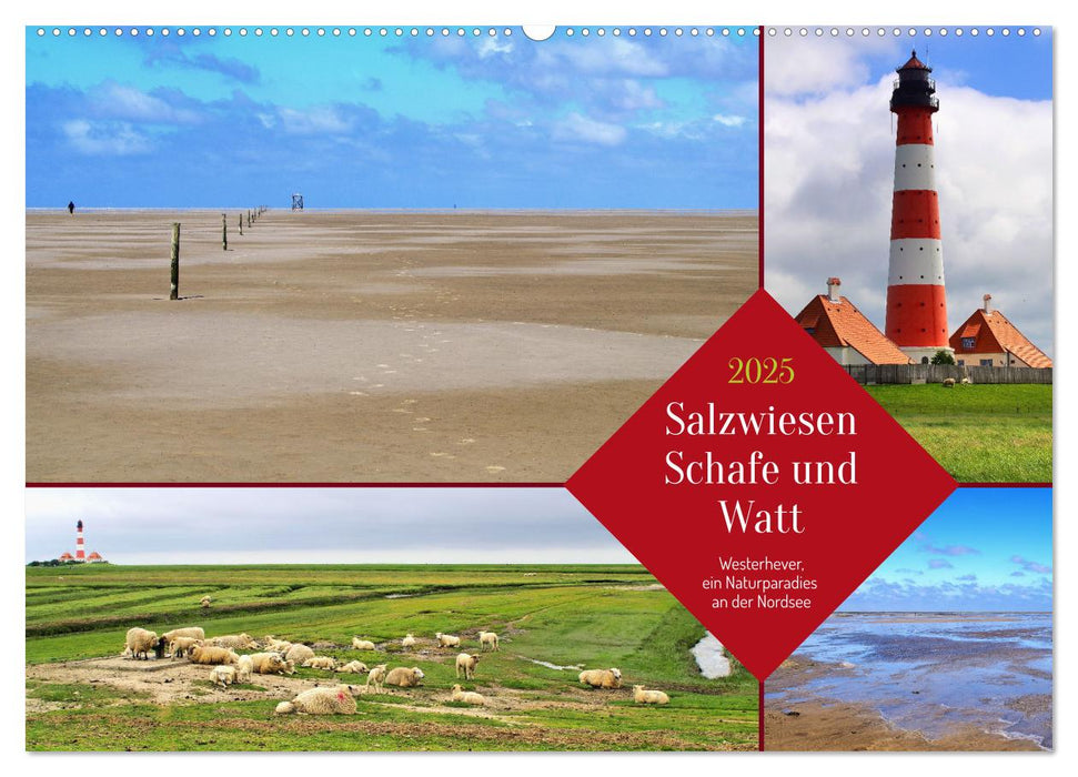 Salzwiesen, Schafe und Watt - Westerhever, ein Naturparadies an der Nordsee (CALVENDO Wandkalender 2025)