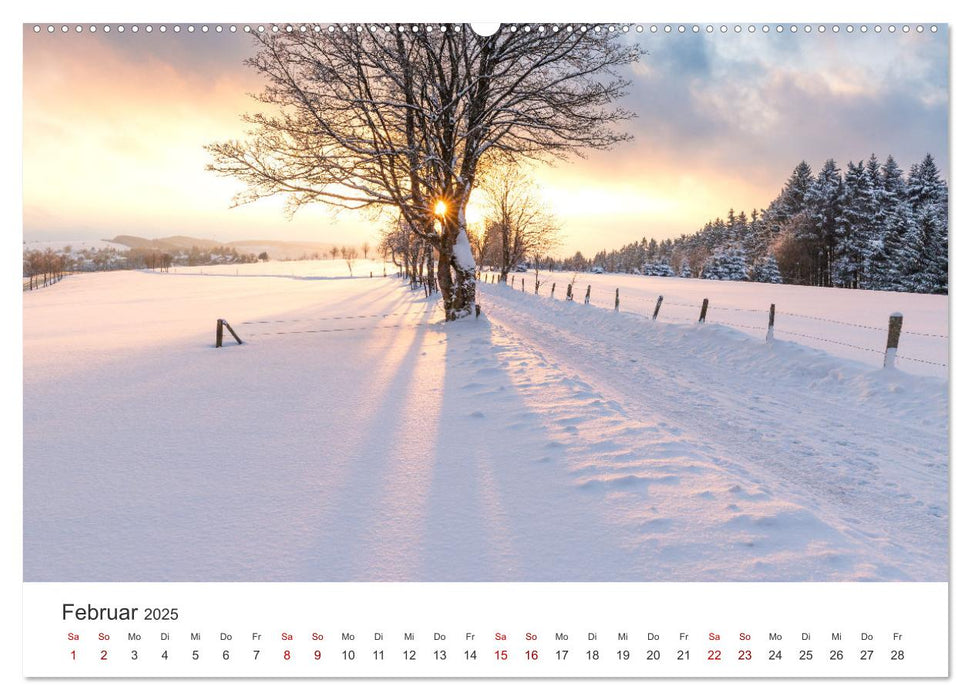 Das Sauerland im Wechsel der Jahreszeiten (CALVENDO Premium Wandkalender 2025)