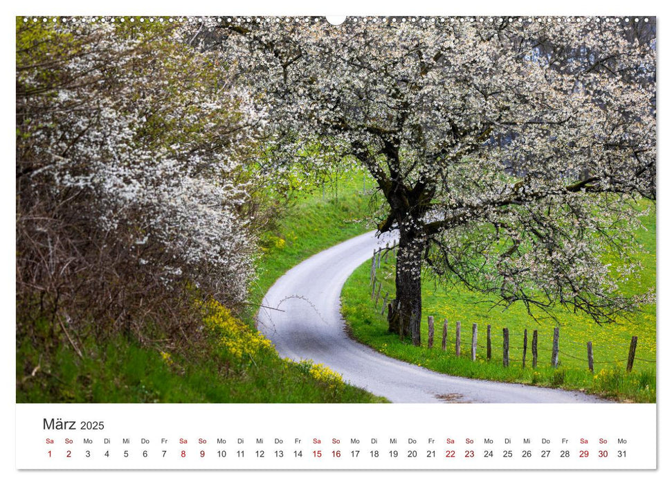 Das Sauerland im Wechsel der Jahreszeiten (CALVENDO Premium Wandkalender 2025)