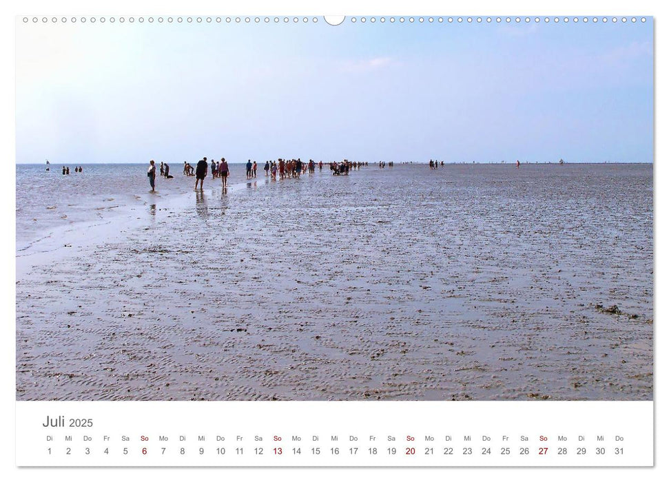 Mein Büsum - Das wunderschöne Nordseeheilbad in Schleswig-Holstein (CALVENDO Premium Wandkalender 2025)