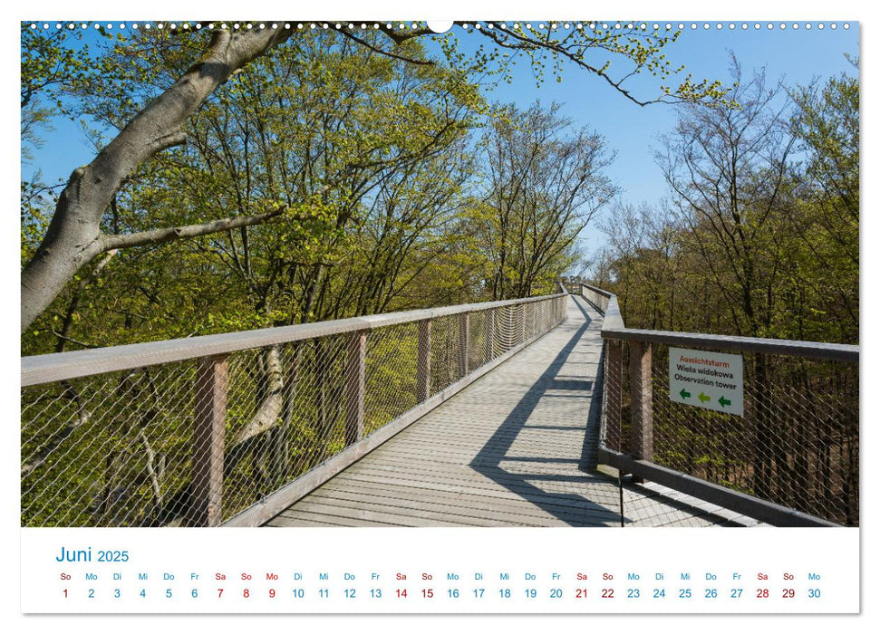 Streifzug auf Usedom (CALVENDO Premium Wandkalender 2025)