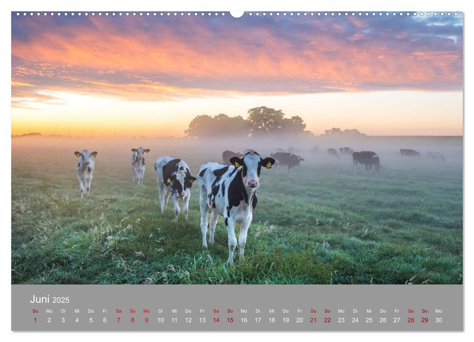 Ostfrieslandmomente 2025 (CALVENDO Premium Wandkalender 2025)