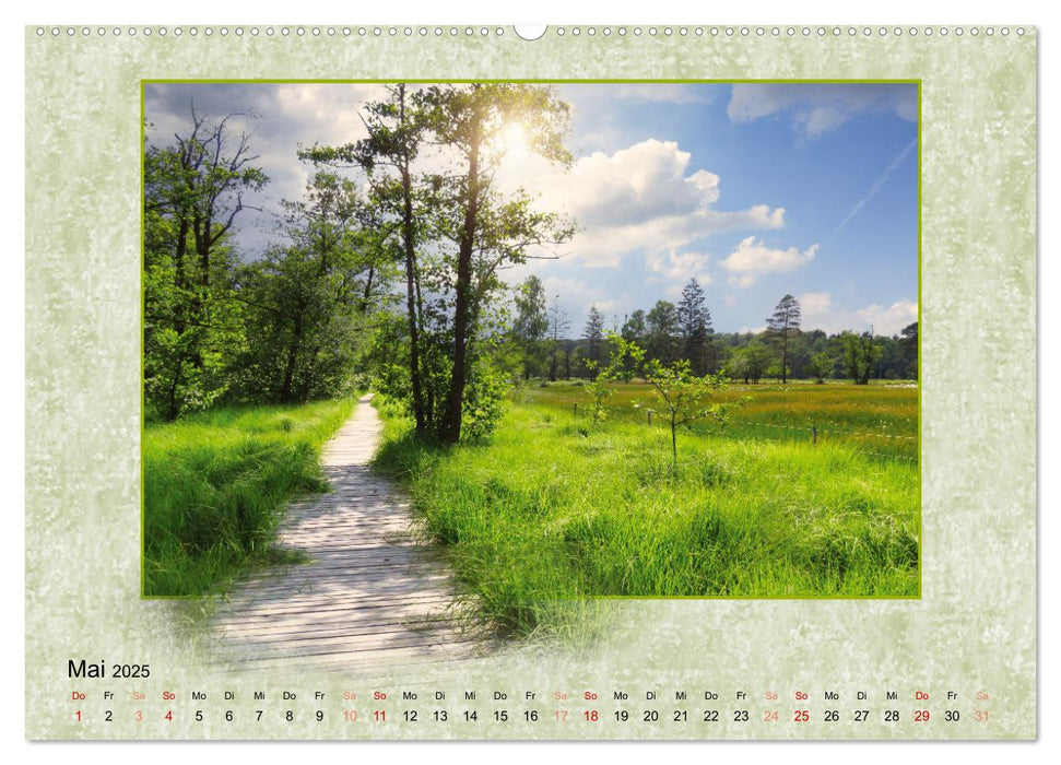 Landschaft, die aus dem Rahmen fällt (CALVENDO Premium Wandkalender 2025)