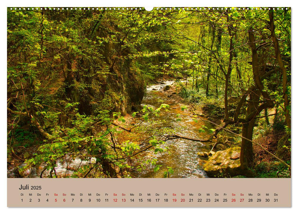 Streifzüge durch Südtirol (CALVENDO Premium Wandkalender 2025)