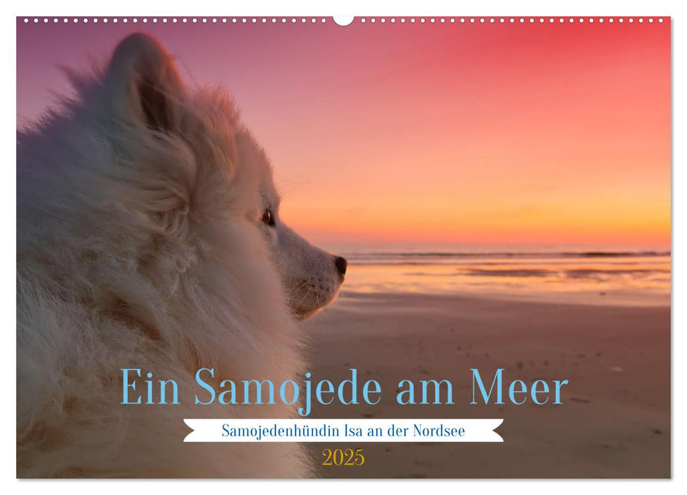 Ein Samojede am Meer (CALVENDO Wandkalender 2025)