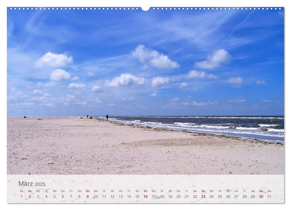 Salzwiesen, Schafe und Watt - Westerhever, ein Naturparadies an der Nordsee (CALVENDO Premium Wandkalender 2025)